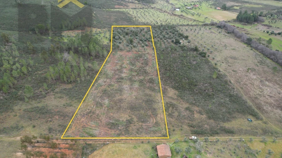 Terreno Agricola ou Rústico para Venda em Freixial e Juncal do Campo