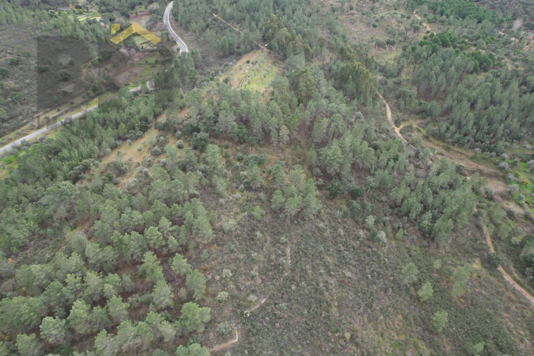Terreno Agricola ou Rústico para Venda em Freixial e Juncal do Campo Foto 10