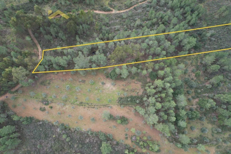 Terreno Agricola ou Rústico para Venda em Freixial e Juncal do Campo