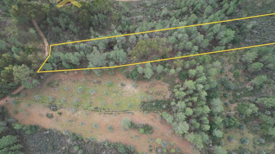 Terreno Agricola ou Rústico para Venda em Freixial e Juncal do Campo