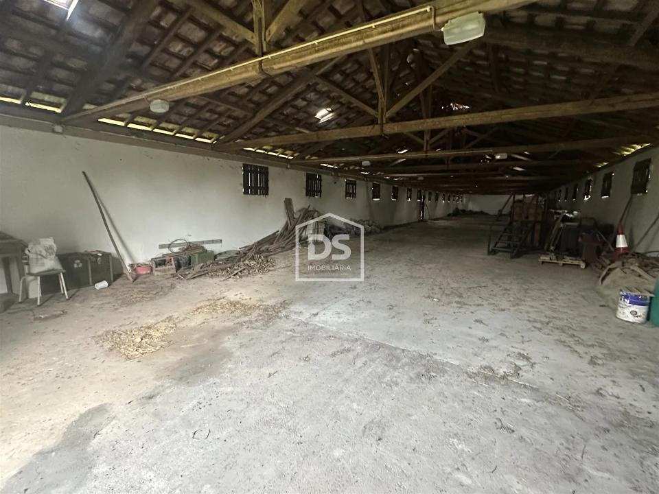 Terreno Misto para Venda em Colmeias e Memória Foto 9