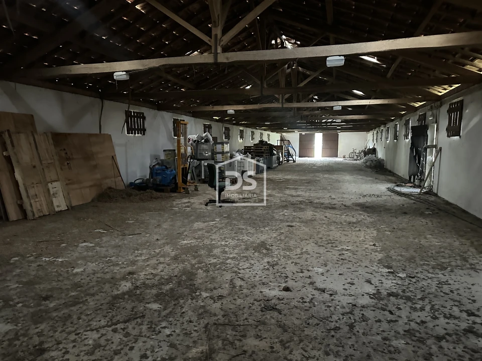 Terreno Misto para Venda em Colmeias e Memória Foto 11