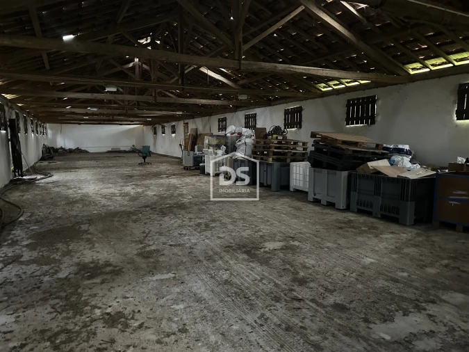 Terreno Misto para Venda em Colmeias e Memória Foto 10