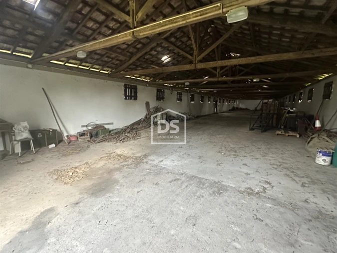 Terreno Misto para Venda em Colmeias e Memória Foto 9