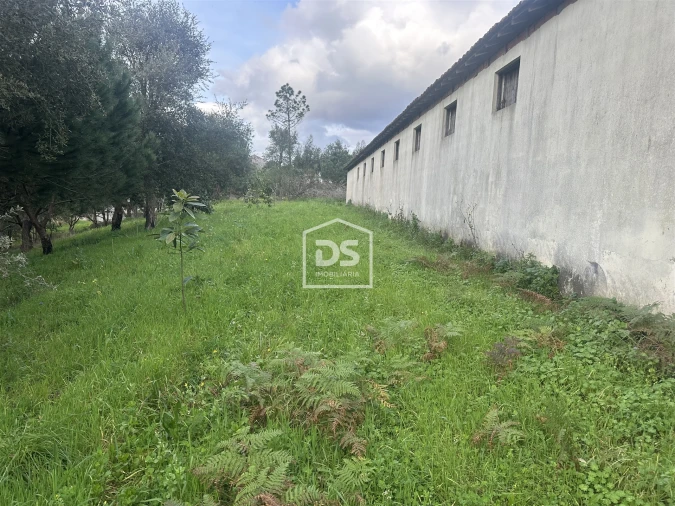 Terreno Misto para Venda em Colmeias e Memória Foto 6