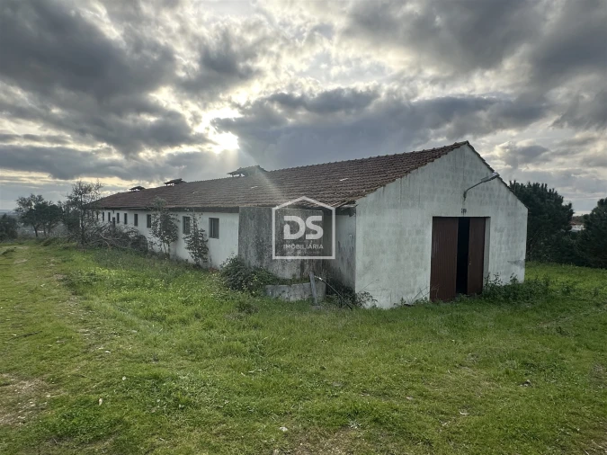 Terreno Misto para Venda em Colmeias e Memória Foto 1