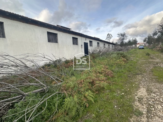Terreno Misto para Venda em Colmeias e Memória Foto 5