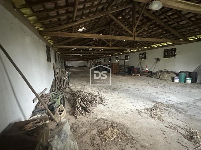 Terreno Misto para Venda em Colmeias e Memória Foto 12