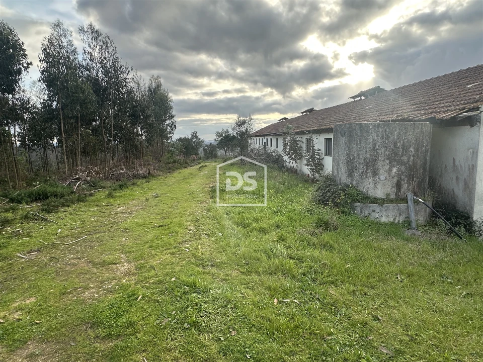 Terreno Misto para Venda em Colmeias e Memória Foto 2
