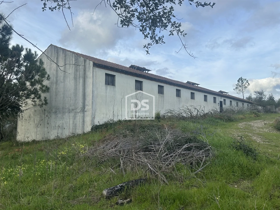 Terreno Misto para Venda em Colmeias e Memória Foto 7