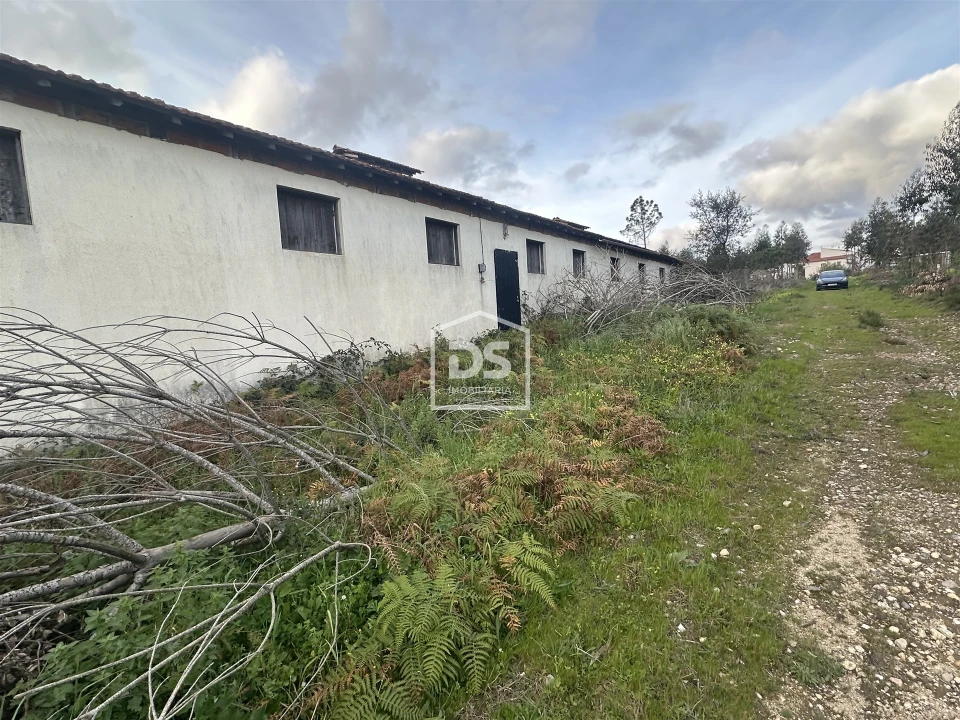 Terreno Misto para Venda em Colmeias e Memória Foto 5
