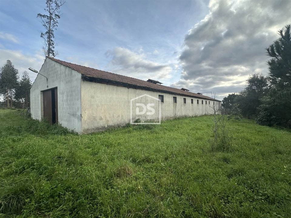Terreno Misto para Venda em Colmeias e Memória Foto 3