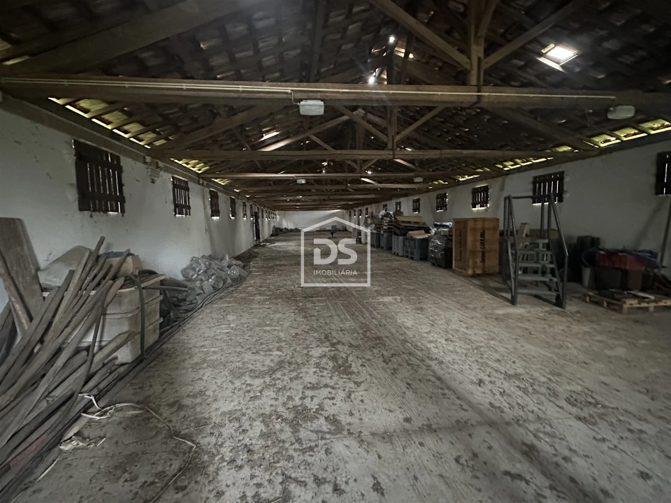 Terreno Misto para Venda em Colmeias e Memória Foto 13