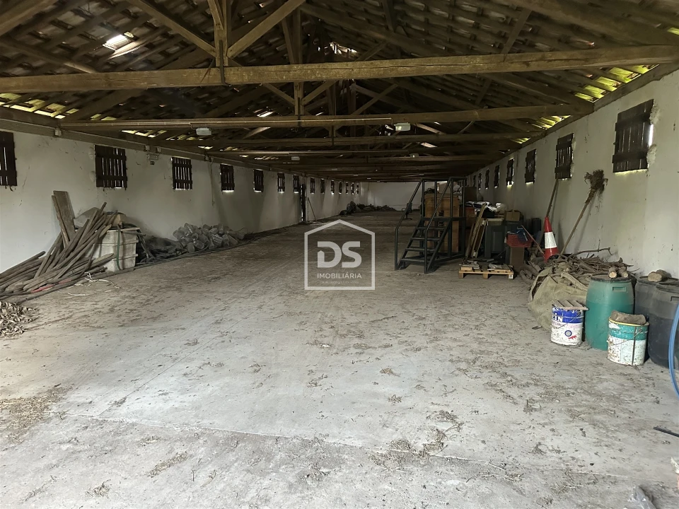 Terreno Misto para Venda em Colmeias e Memória Foto 8