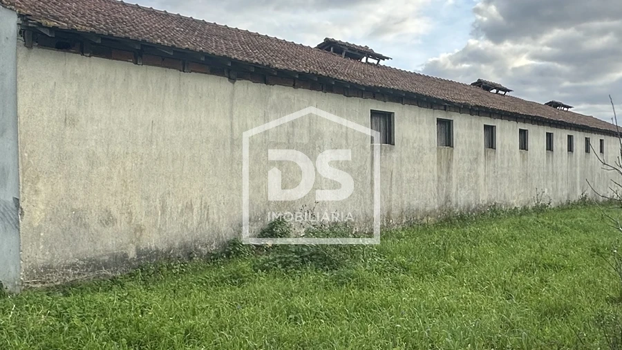 Terreno Misto para Venda em Colmeias e Memória