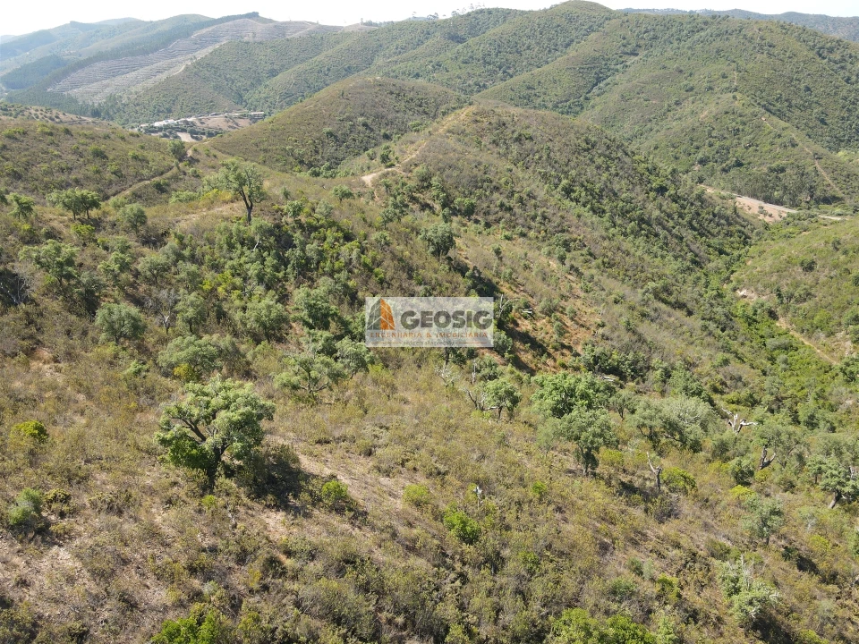 Quinta T3 para Venda em São Barnabe Foto 19