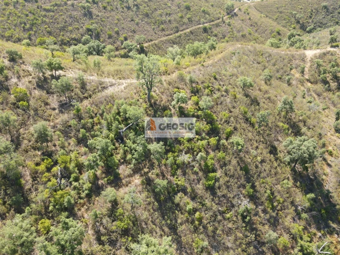 Quinta T3 para Venda em São Barnabe Foto 20