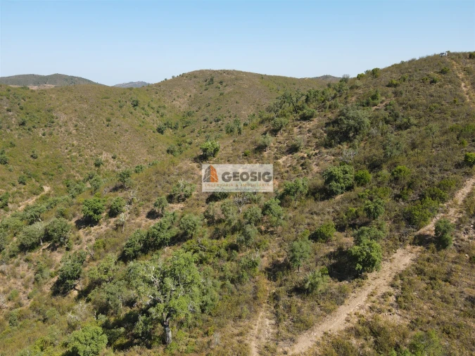 Quinta T3 para Venda em São Barnabe Foto 26