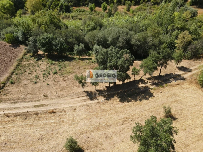 Quinta T3 para Venda em São Barnabe Foto 12