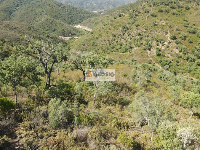 Quinta T3 para Venda em São Barnabe Foto 17
