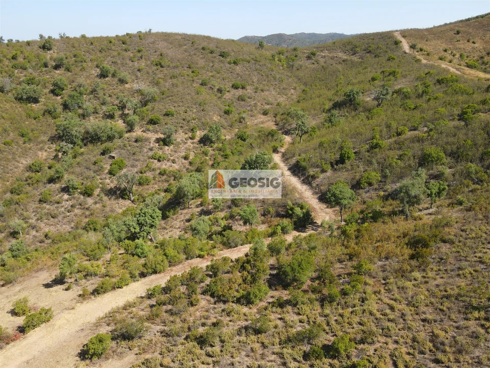 Quinta T3 para Venda em São Barnabe Foto 24