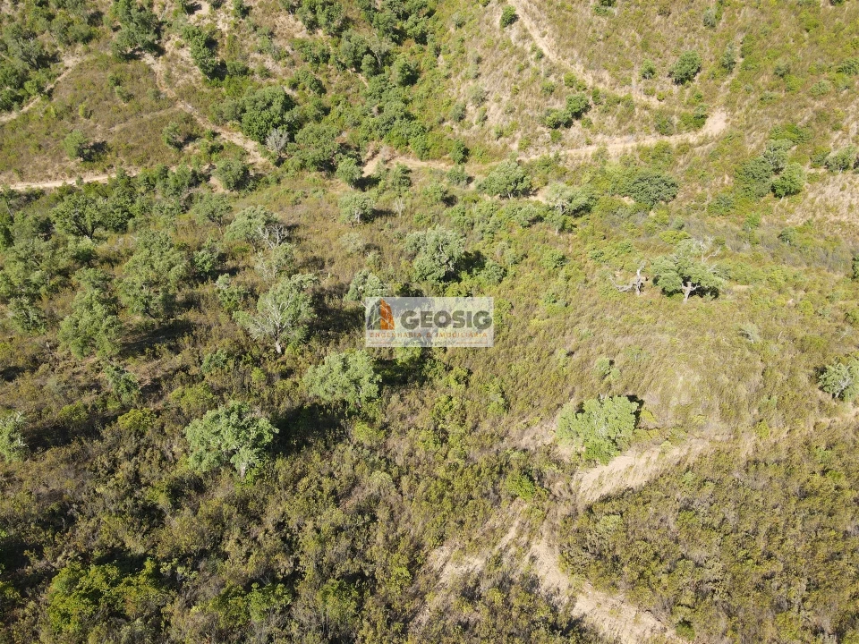 Quinta T3 para Venda em São Barnabe Foto 18