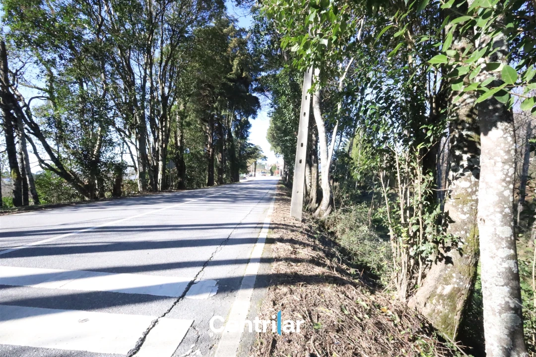 Terreno para Venda em Mangualde, Mesquitela e Cunha Alta Foto 5