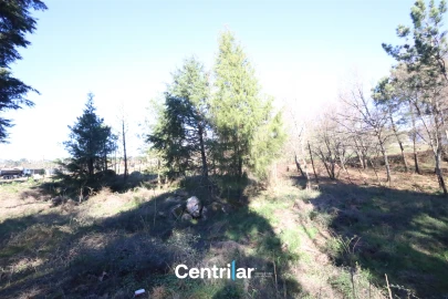 Terreno para Venda em Mangualde, Mesquitela e Cunha Alta