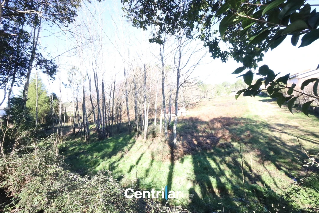 Terreno para Venda em Mangualde, Mesquitela e Cunha Alta Foto 4