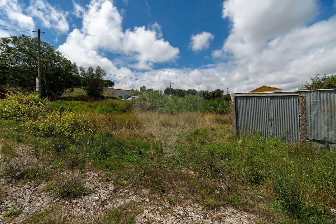 Terreno para Venda em Ribafria e Pereiro de Palhacana Foto 3