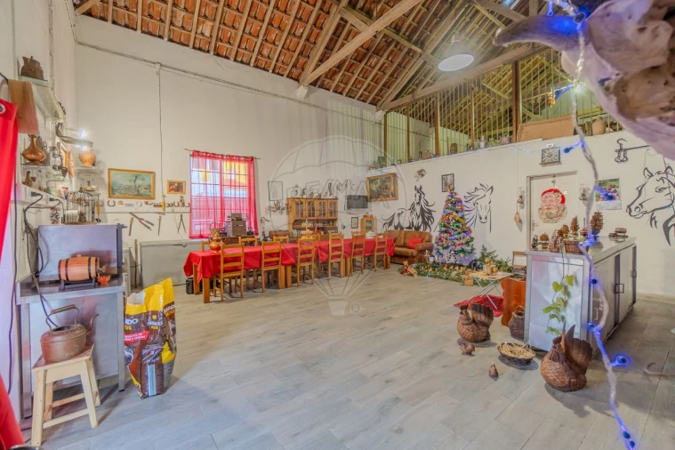 Armazém para Venda em Carvoeira e Carmões Foto 7