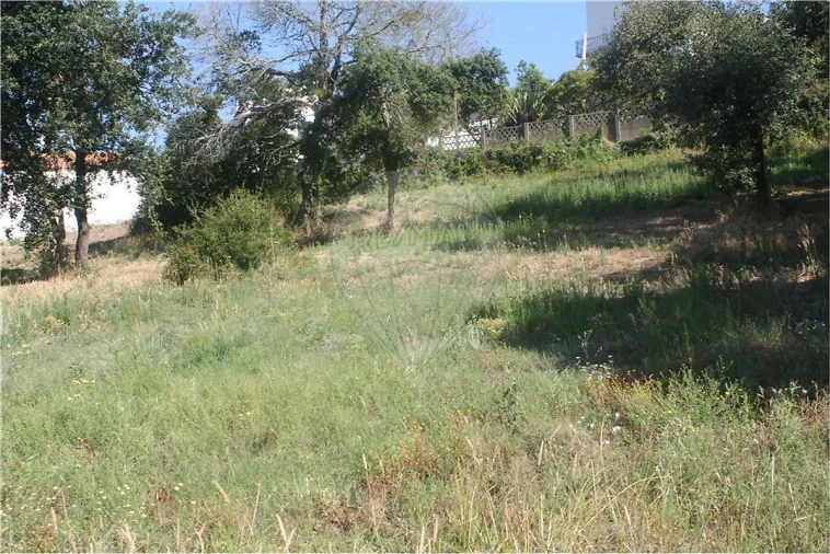 Terreno para Venda em Lousa Foto 2