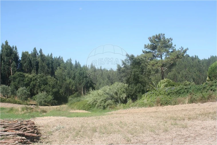 Terreno para Venda em Lousa Foto 8