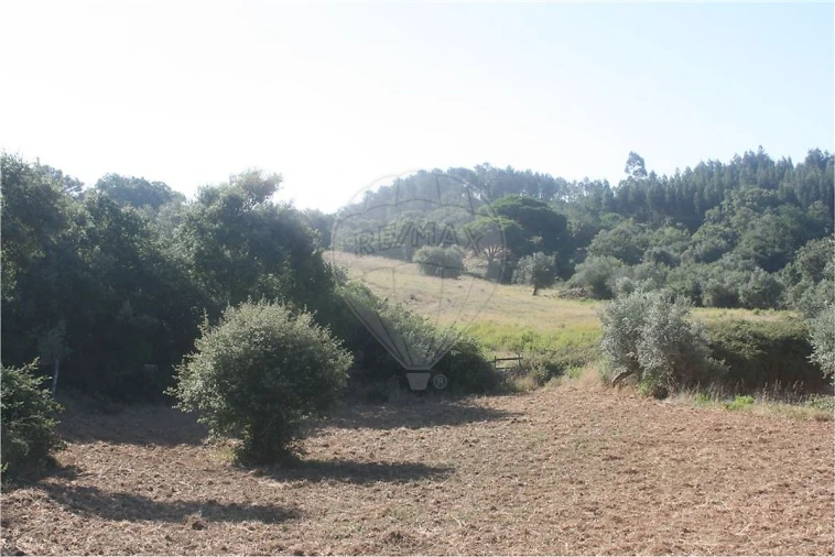 Terreno para Venda em Lousa Foto 9