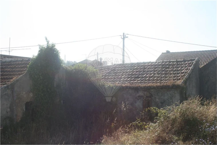 Terreno para Venda em Lousa Foto 11