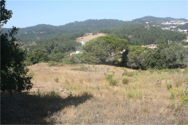 Terreno para Venda em Lousa Foto 6