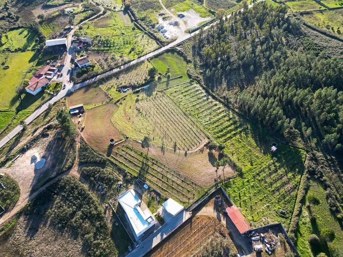 Terreno para Venda em Envendos Foto 5