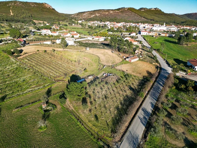 Terreno para Venda em Envendos Foto 9