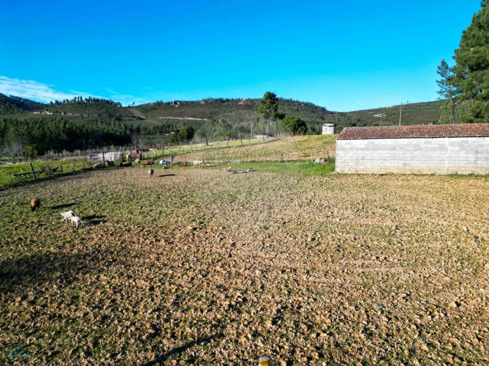 Terreno para Venda em Envendos Foto 11