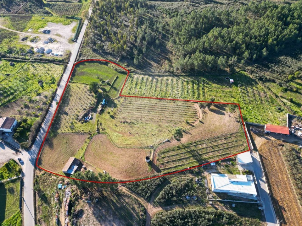 Terreno para Venda em Envendos Foto 1