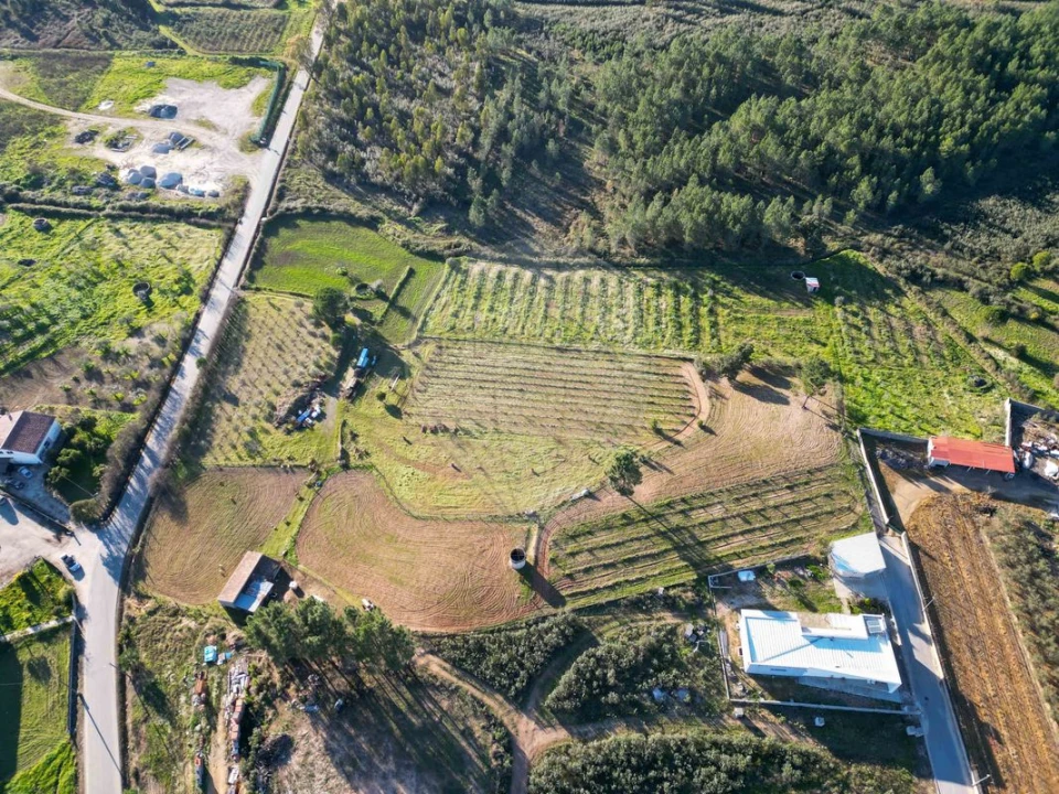 Terreno para Venda em Envendos Foto 3