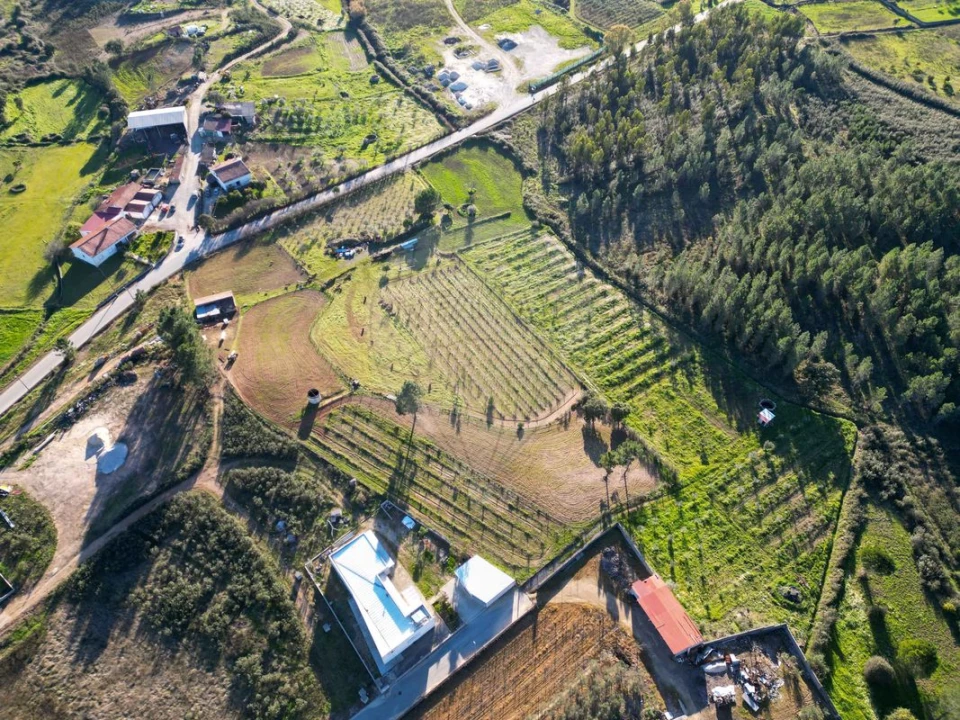 Terreno para Venda em Envendos Foto 4