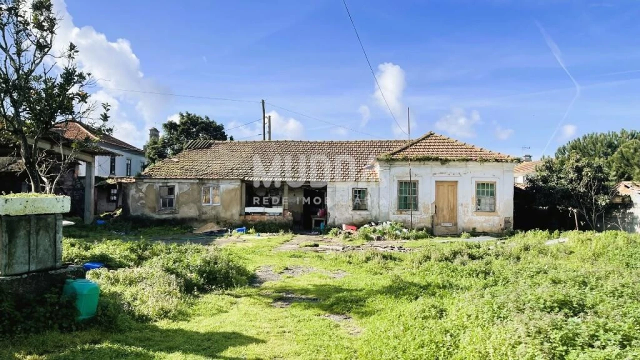 Terreno para Venda em Murtosa Foto 4