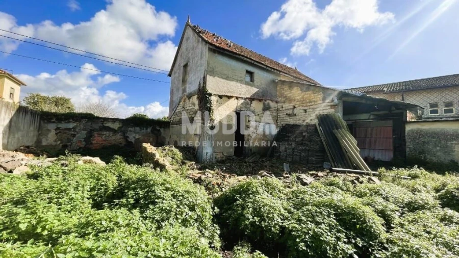 Terreno para Venda em Murtosa Foto 5