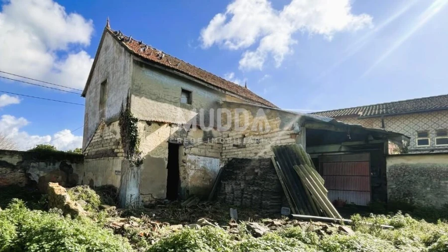 Terreno para Venda em Murtosa Foto 1