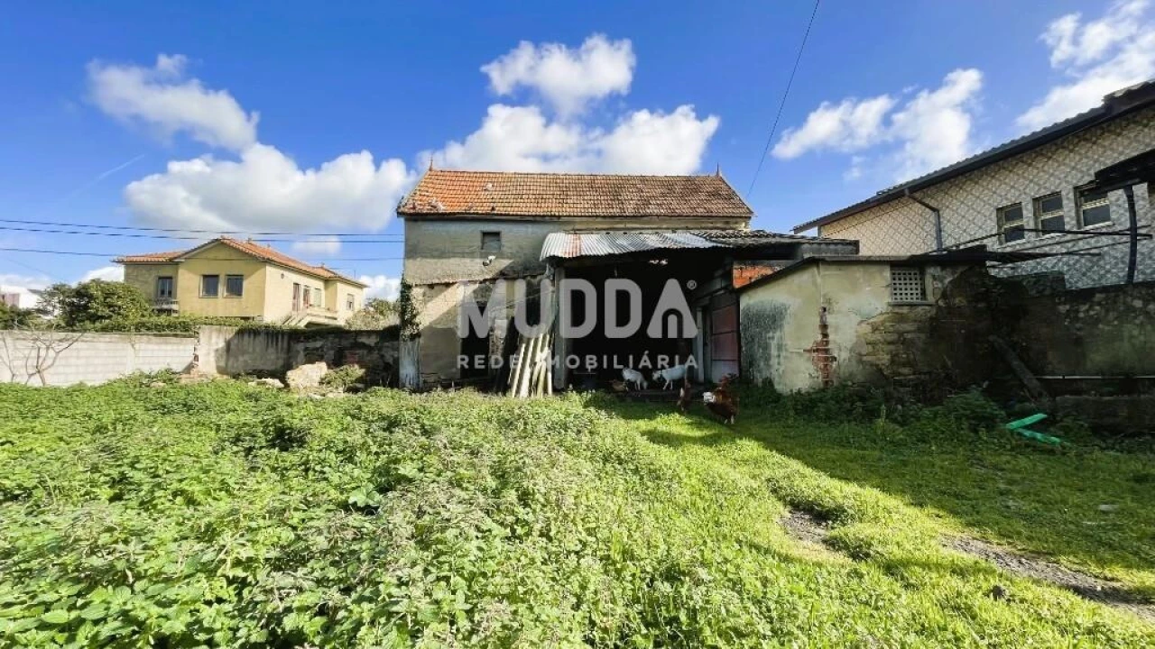 Terreno para Venda em Murtosa Foto 3