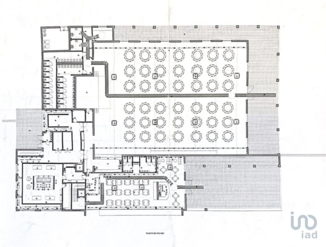 Terreno para Venda em Cerva e Limões Foto 3