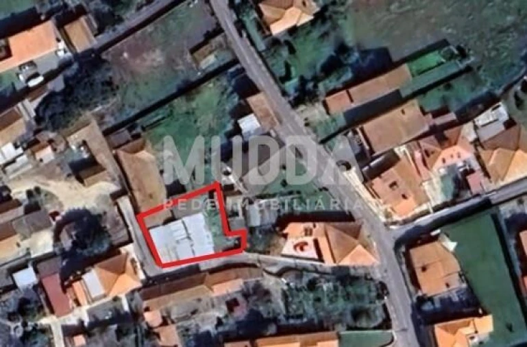 Terreno para Venda em Murtosa