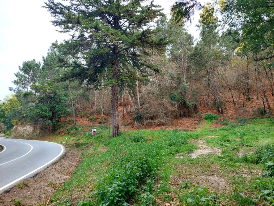 Terreno para Venda em Geraz do Minho Foto 2