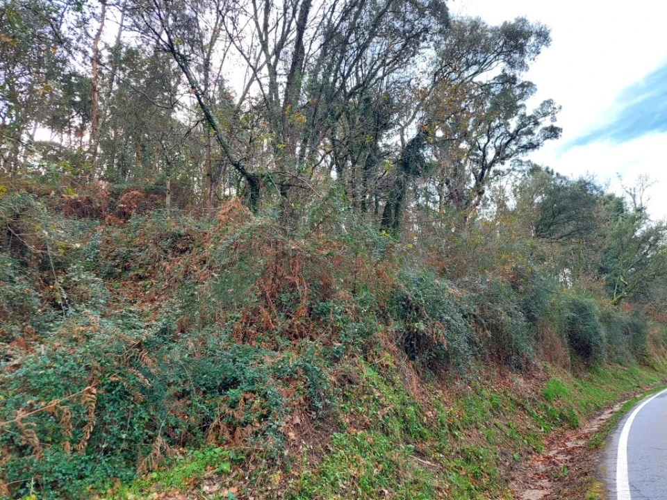 Terreno para Venda em Geraz do Minho Foto 6